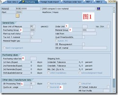 SAP License：简谈SAP软件与国产软件的几点区别 图2
