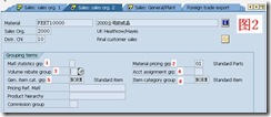 SAP License：对销售模块的几点认识 图3