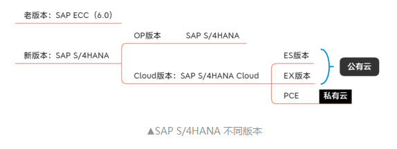 SAP License：SAP S/4HANA不同版本，企业该怎么选择? 图2