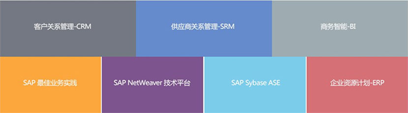 SAP License：SAP ERP系统软件 图1