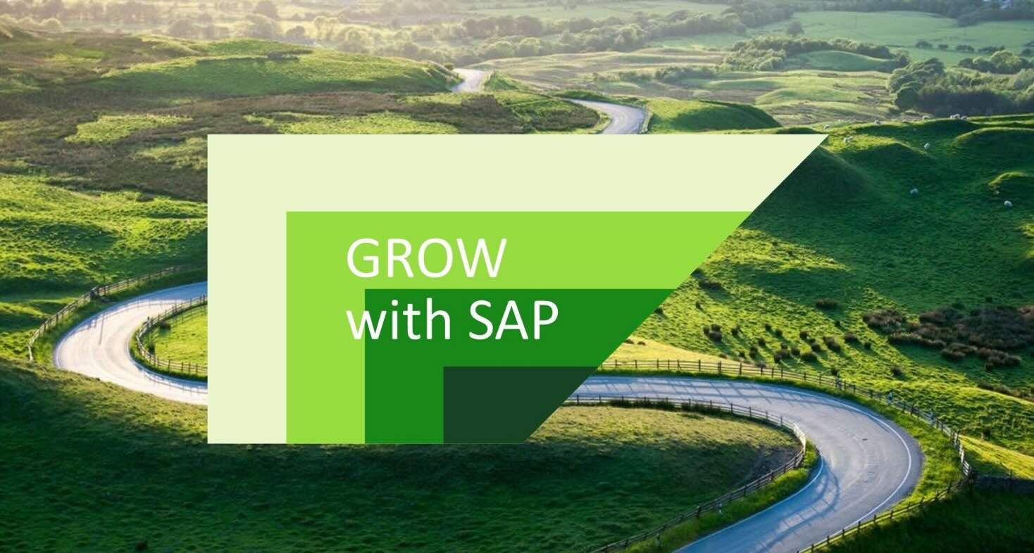 SAP PCE归档- 河南赛锐信息科技有限公司｜SAP ERP服务｜SAP 审计咨询｜SAP License优化｜数智化转型服务