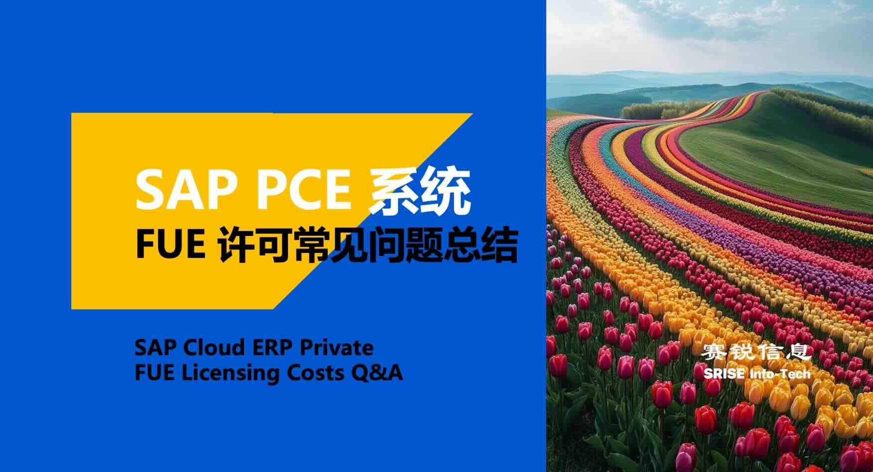 RISE with SAP 避坑：SAP FUE 许可模型与成本优化常见问题总结