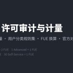SAP 许可审计与计量封面:深蓝底白字标题与 FUE 权重装饰行