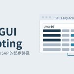 SAP GUI Scripting 封面:浅灰蓝底版式,窗口线框与脚本调用行示意,AI Agent 与 SAP GUI 的连接意象